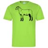 Cool T Sports Shirt Thumbnail