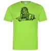 Cool T Sports Shirt Thumbnail
