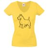 Lady-fit Valueweight V-Neck T-Shirt Thumbnail
